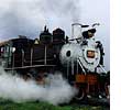 A Museum for those who like old steam engines